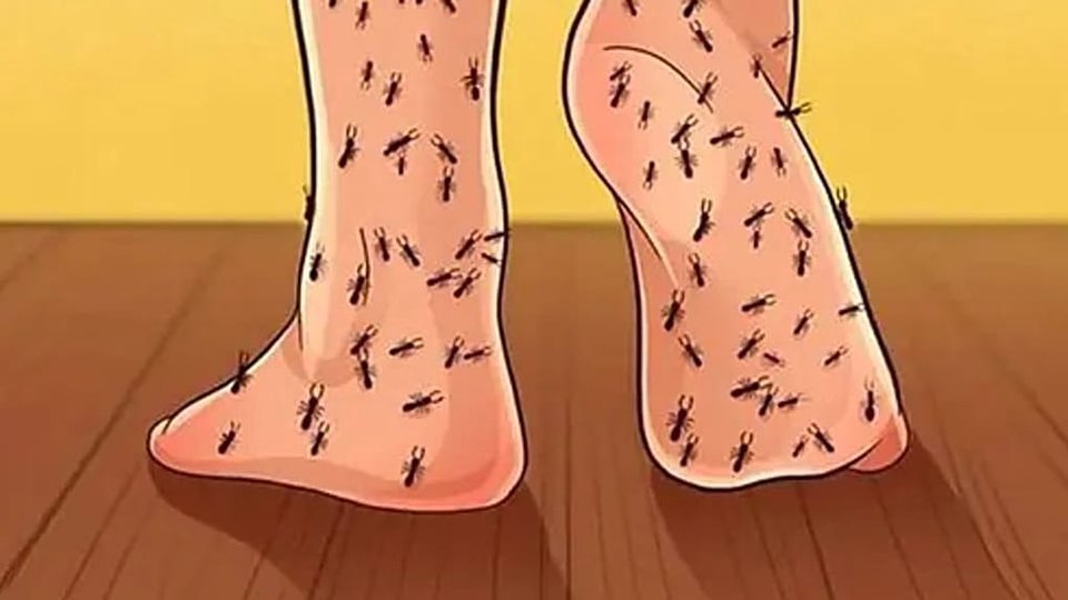 Badania naukowe składników naturalnych NeuroGlucoren